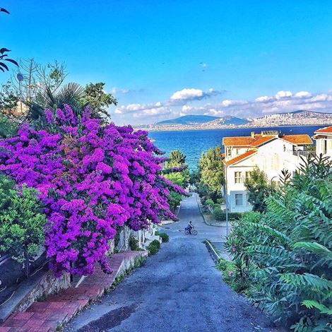 3 Day: Princes island Tour 